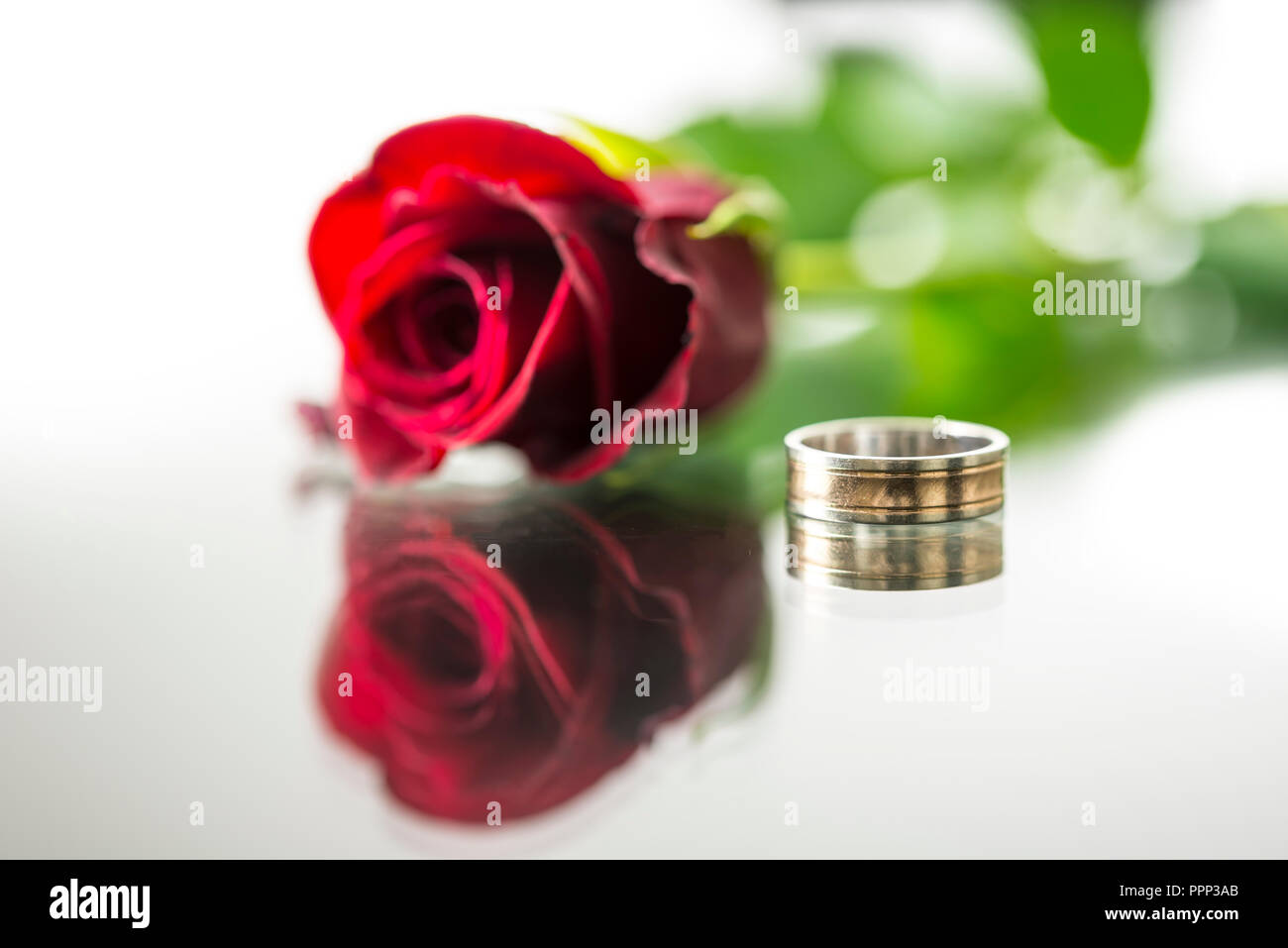 Close-up of a Beautiful Romantic Red Rose with Two Wedding Gold Rings Stock  Photo - Image of background, copy: 100071686