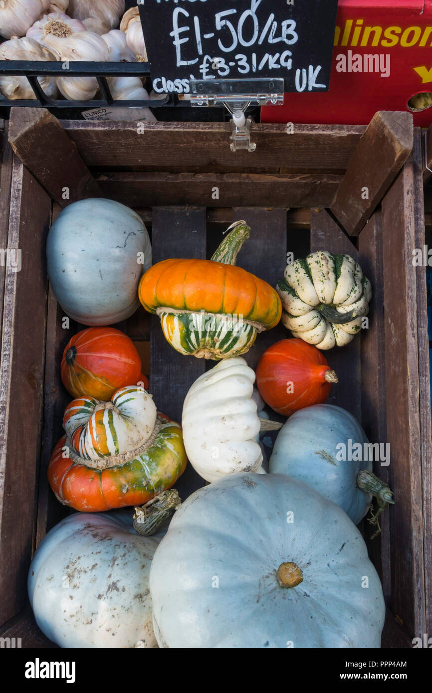 Assorted priced Squashes for sale in a greengrocers shop in North Yorkshire in autumn Stock Photo