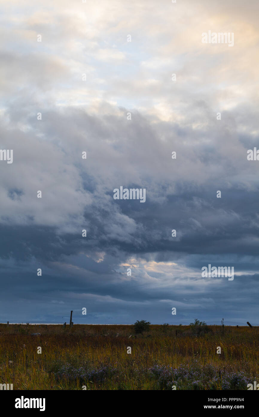 Stormy sky over coastal wetlands in Richmond, British Columbia Stock Photo