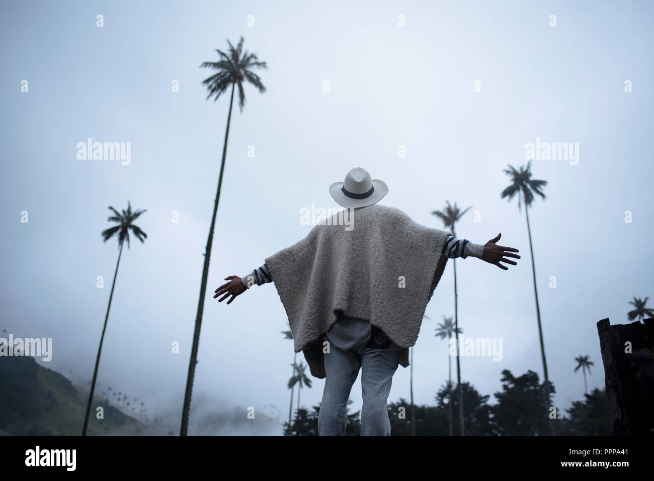 Travel lifestyle. Man wearing a poncho-style ruana & panama hat with arms stretched looking up the iconic Quindío wax palms in Cocora Valley, Colombia Stock Photo