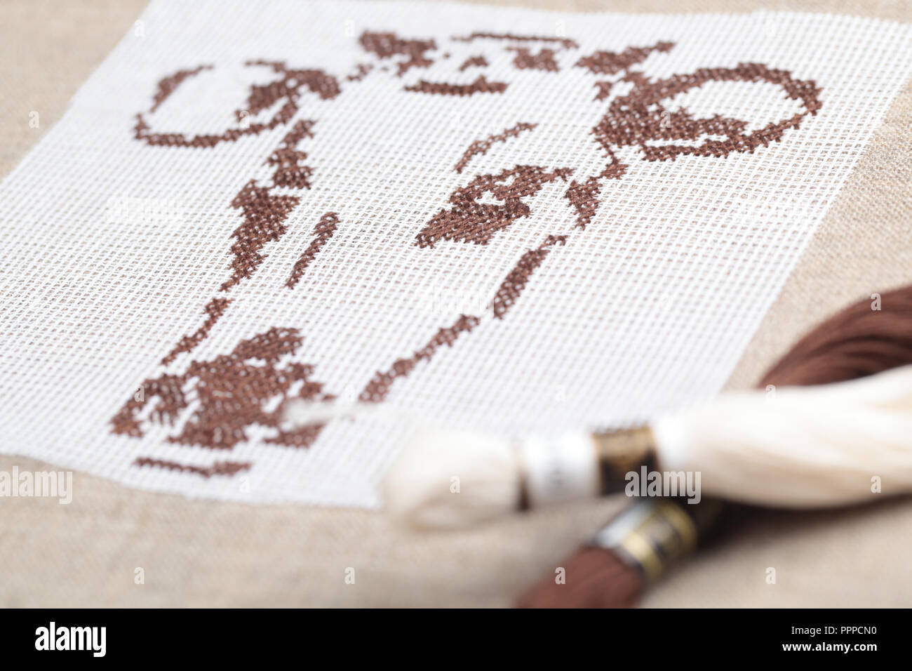 Cow Thread Embroidery of cow's head and threads closeup Stock Photo - Alamy