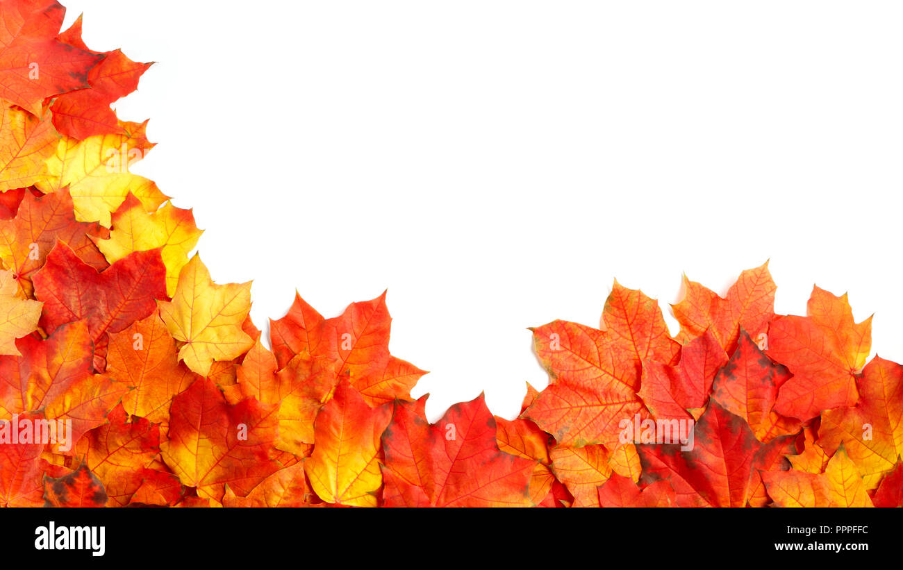 border frame of colorful autumn leaves isolated on white Stock Photo ...