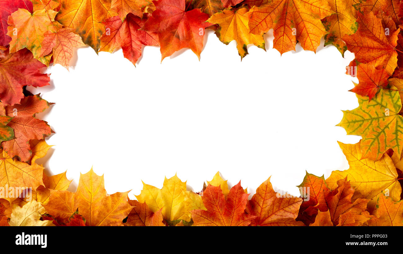 border frame of colorful autumn leaves isolated on white Stock Photo ...