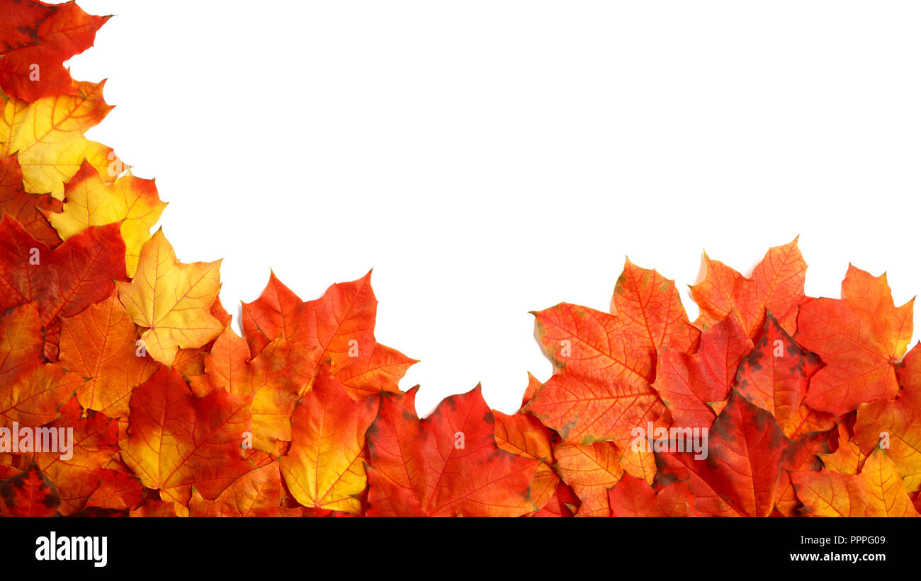 border frame of colorful autumn leaves isolated on white Stock Photo ...