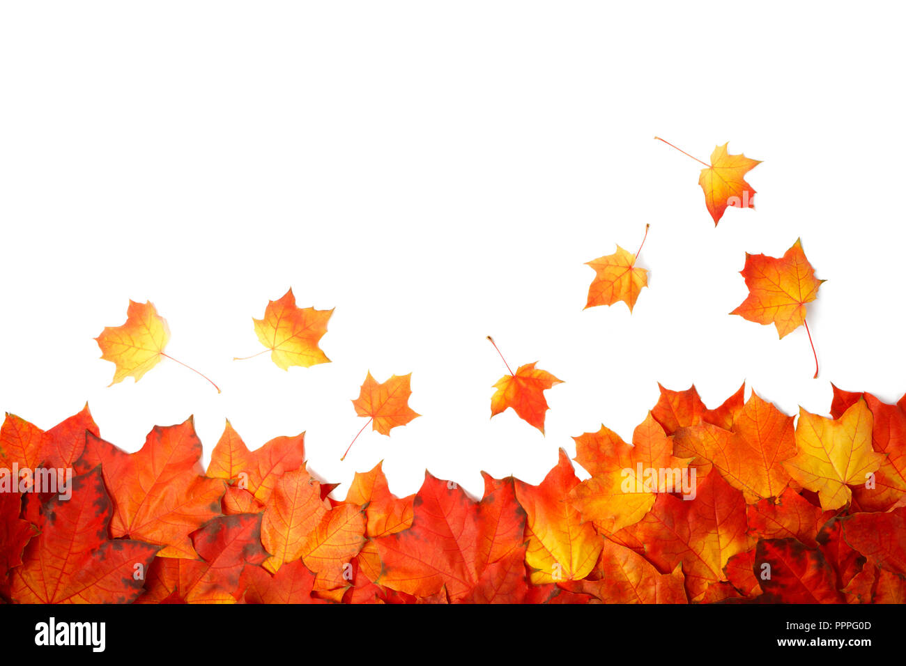 border frame of colorful autumn leaves isolated on white Stock Photo ...