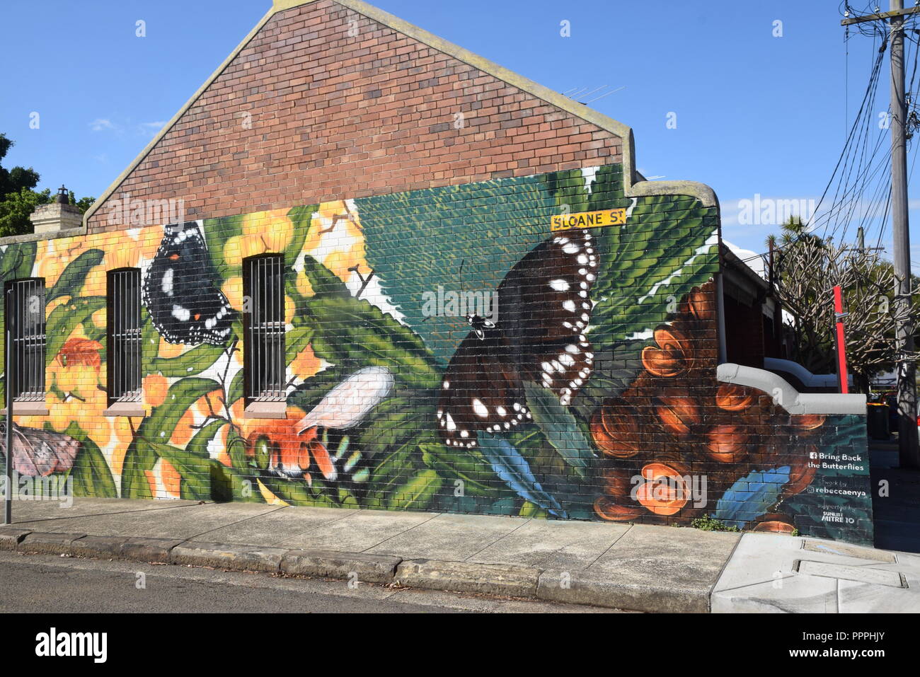 Street Art, Newtown, Sydney, NSW, Australia Stock Photo Alamy