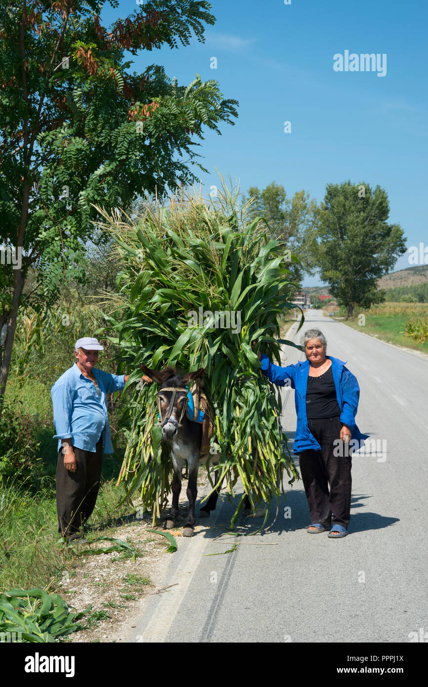 Loaded donkey near Kelcyre, Albania Stock Photo