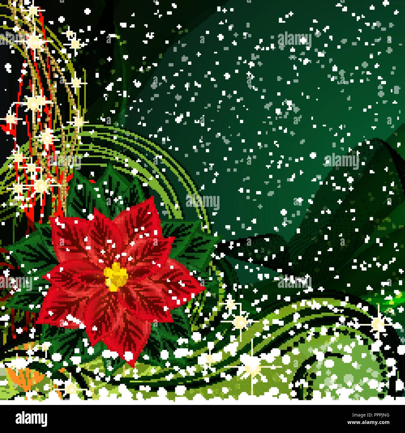 Christmas background with Christmas flower. Vector Illustration Stock