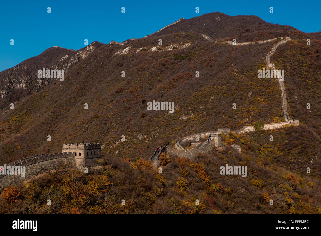 Great chinese wall, Mutianyu, Beijing Shi, China Stock Photo