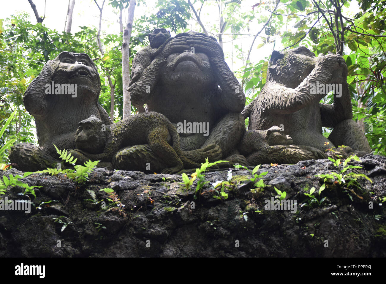 Statues in Monkey Forest Ubud Stock Photo Alamy