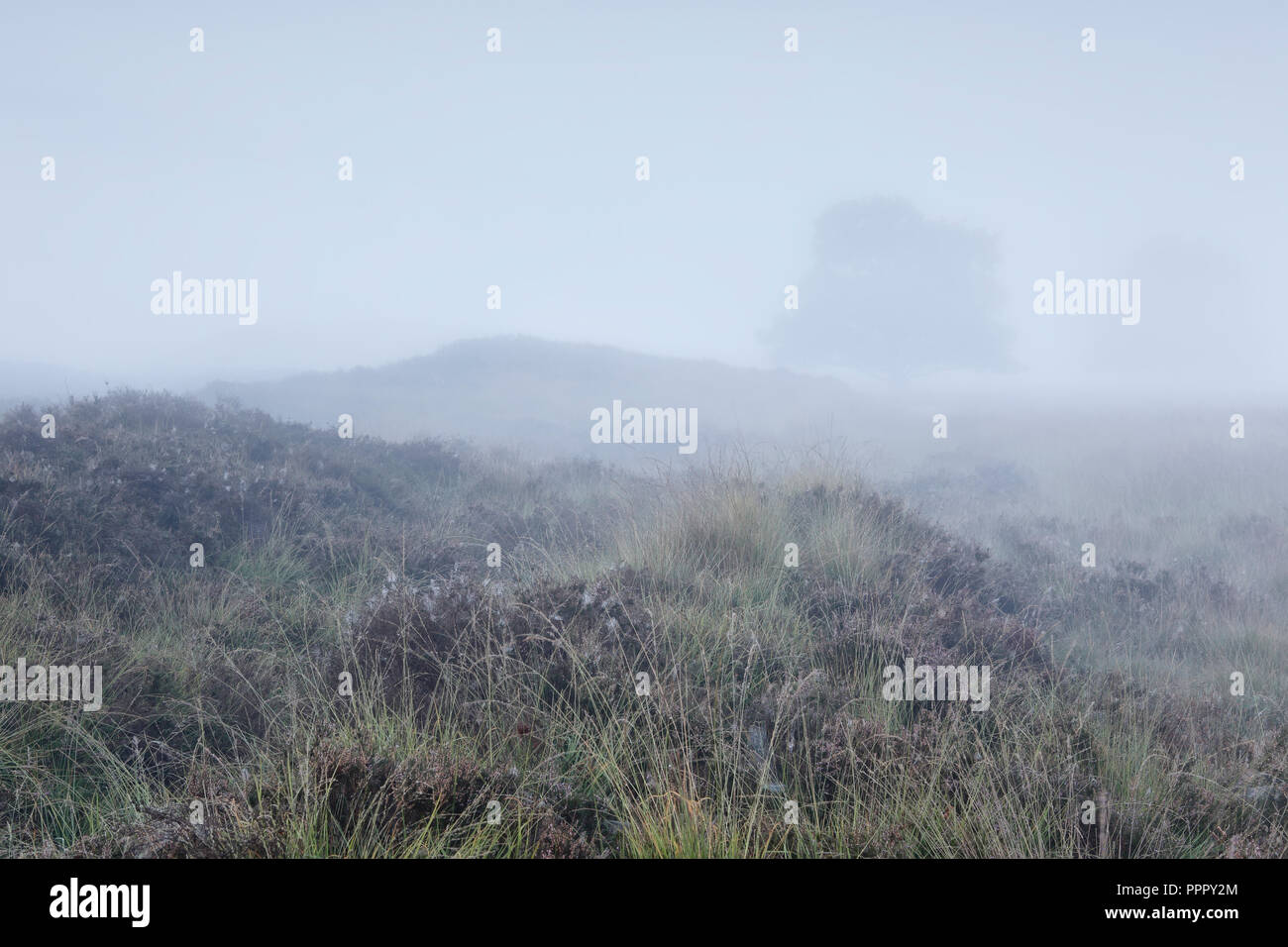 Fog on hill hi-res stock photography and images - Alamy