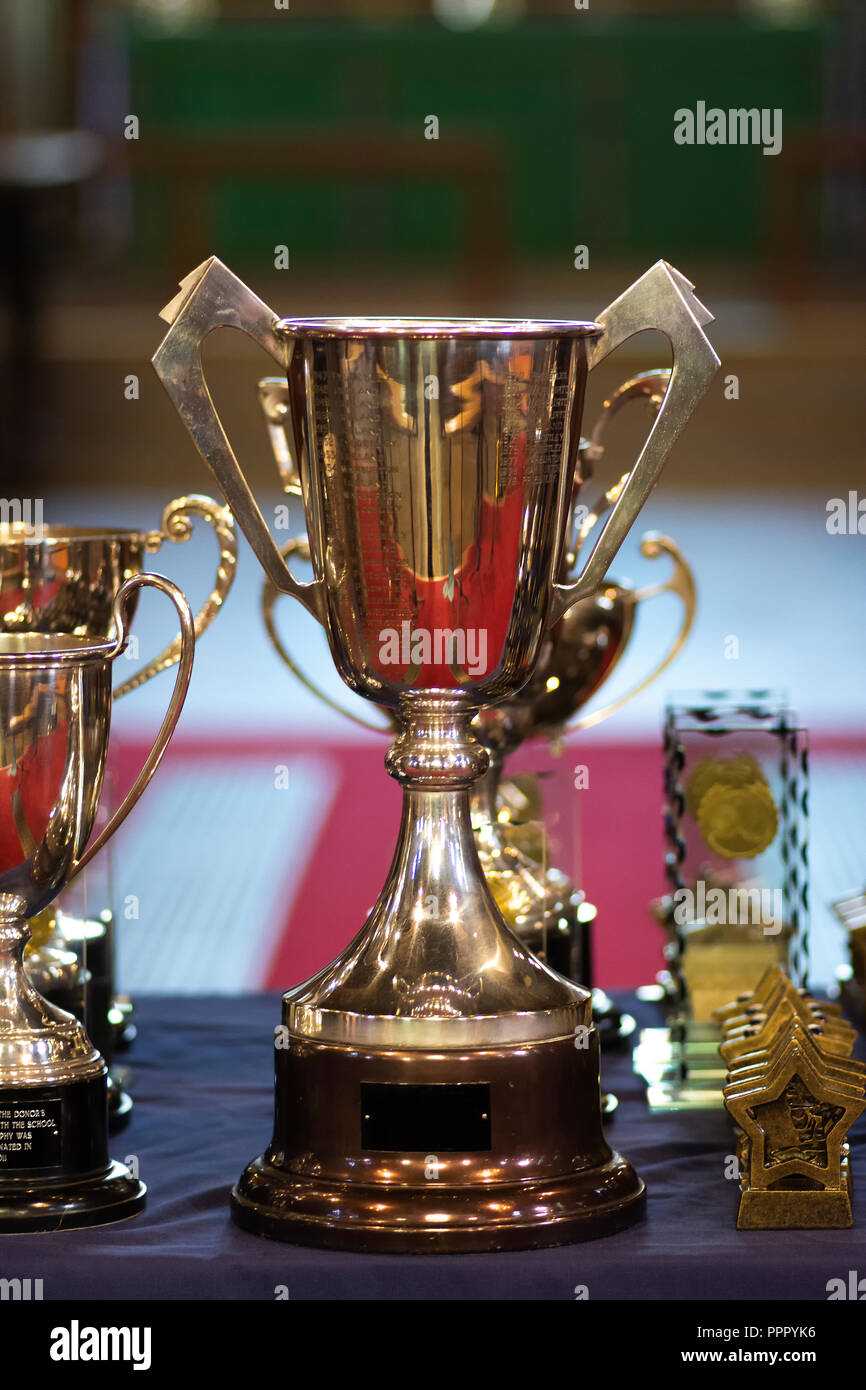 Winners decoration ceremony hires stock photography and images Alamy