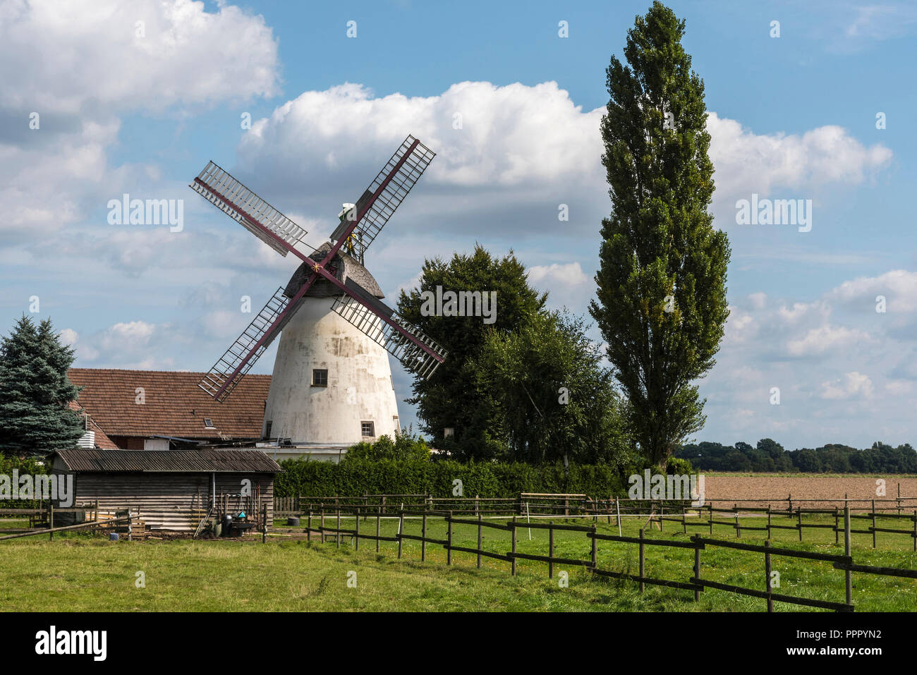 wind mill, Stemmer, Minden-Luebbecke, East Westphalia-Lippe, North Rhine-Westphalia, Germany Stock Photo