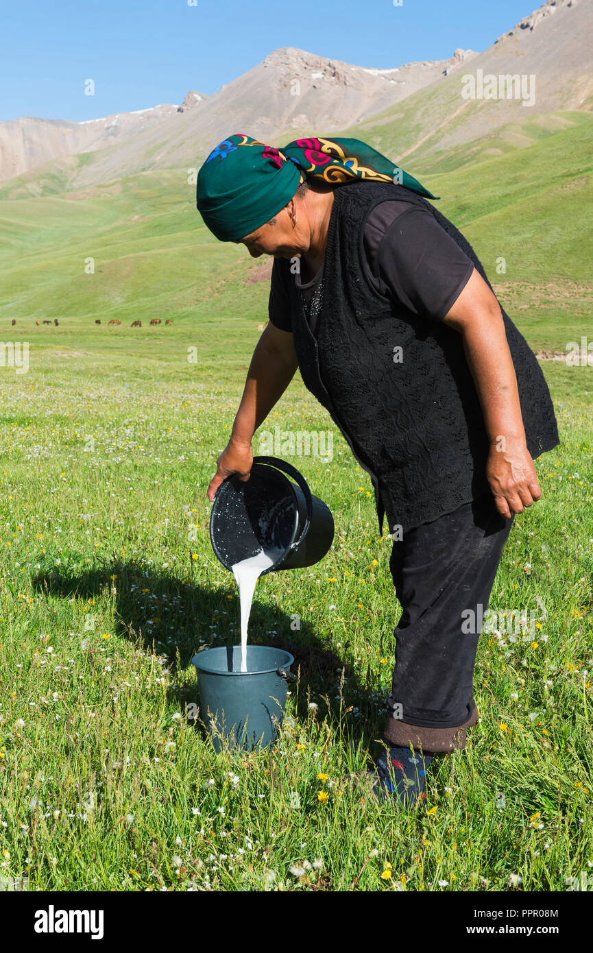 Kyrgyz woman pouring mare milk in a bucket, Song Kol Lake, Naryn province, Kyrgyzstan, Central Asia Stock Photo
