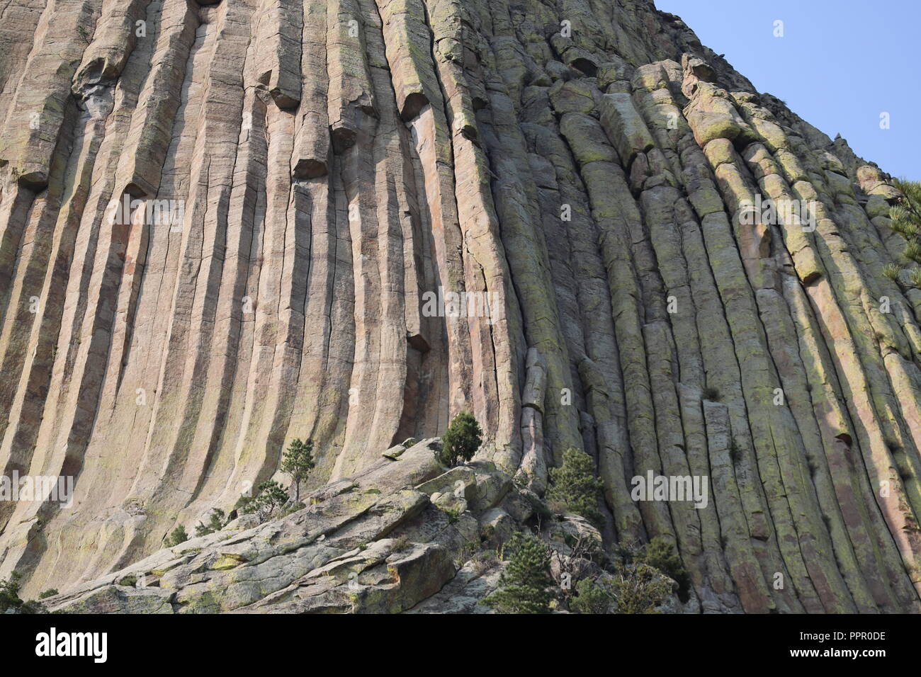 geological wonder of igneous columnar rock at Devils Tower Stock Photo