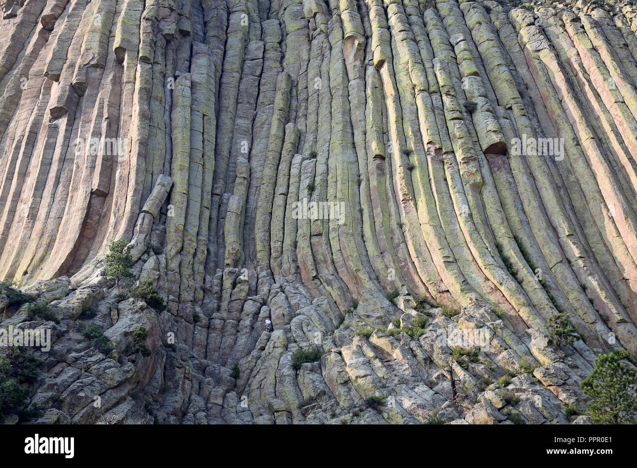 man in bottom center for scale at geological wonder of igneous columnar rock at Devils Tower Stock Photo
