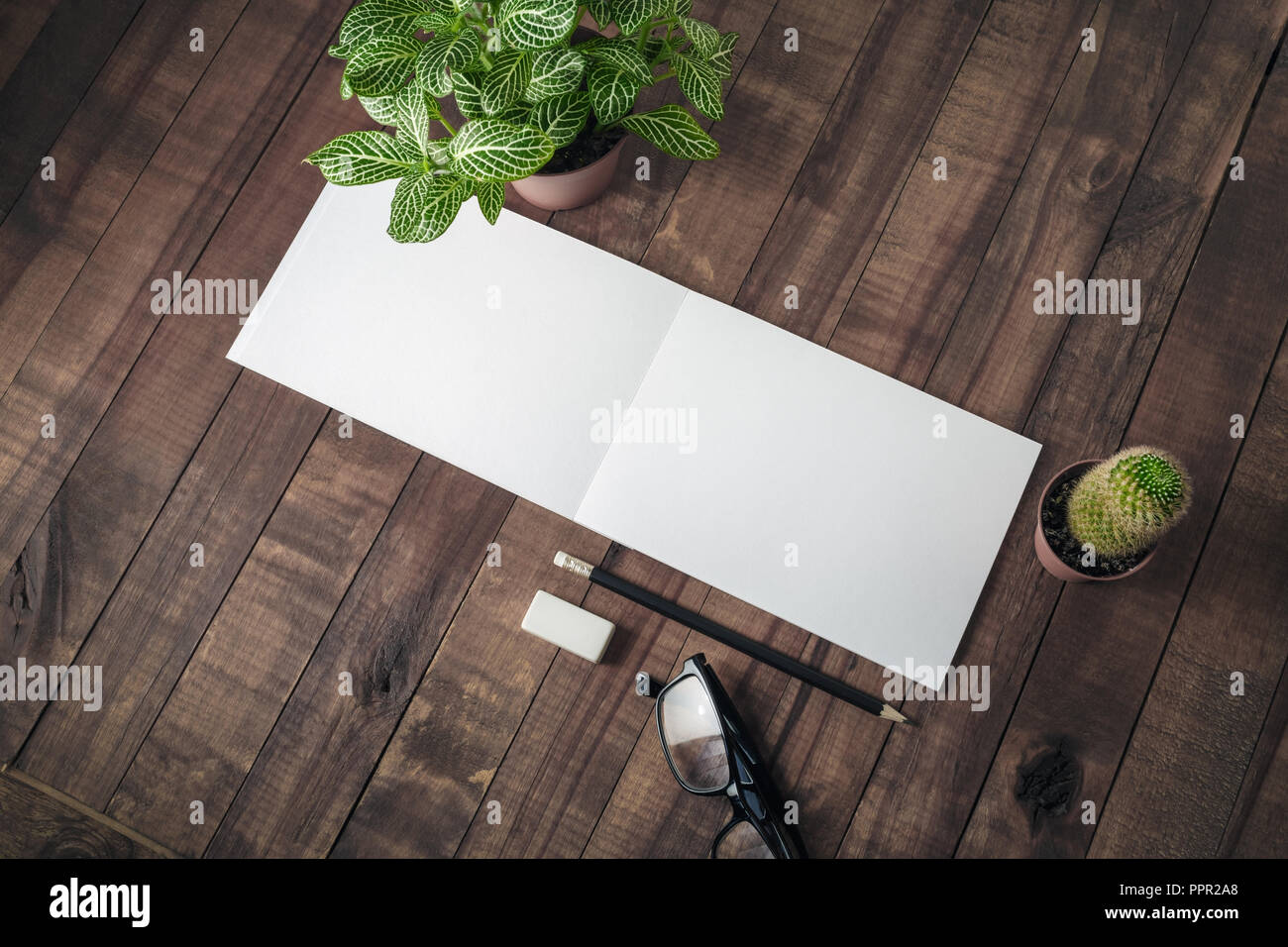 Blank stationery and plants on wooden background. Responsive design mockup. Stock Photo