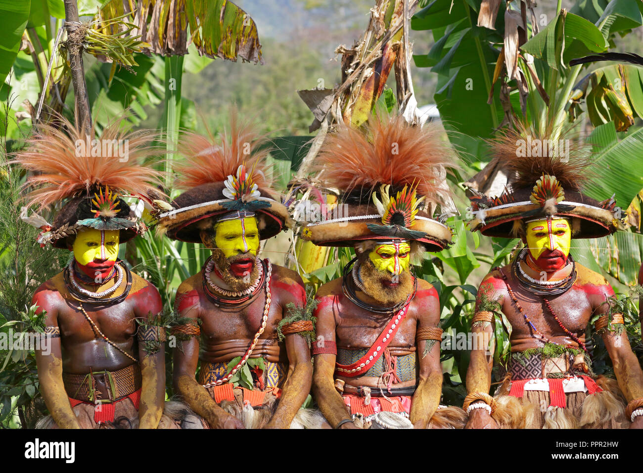 Huli Wigmen In Traditional Dress In Papua New Guinea Stock Photo Alamy Huli Wigmen In Traditional Dress In Papua New Guinea Stock Photo Alamy
