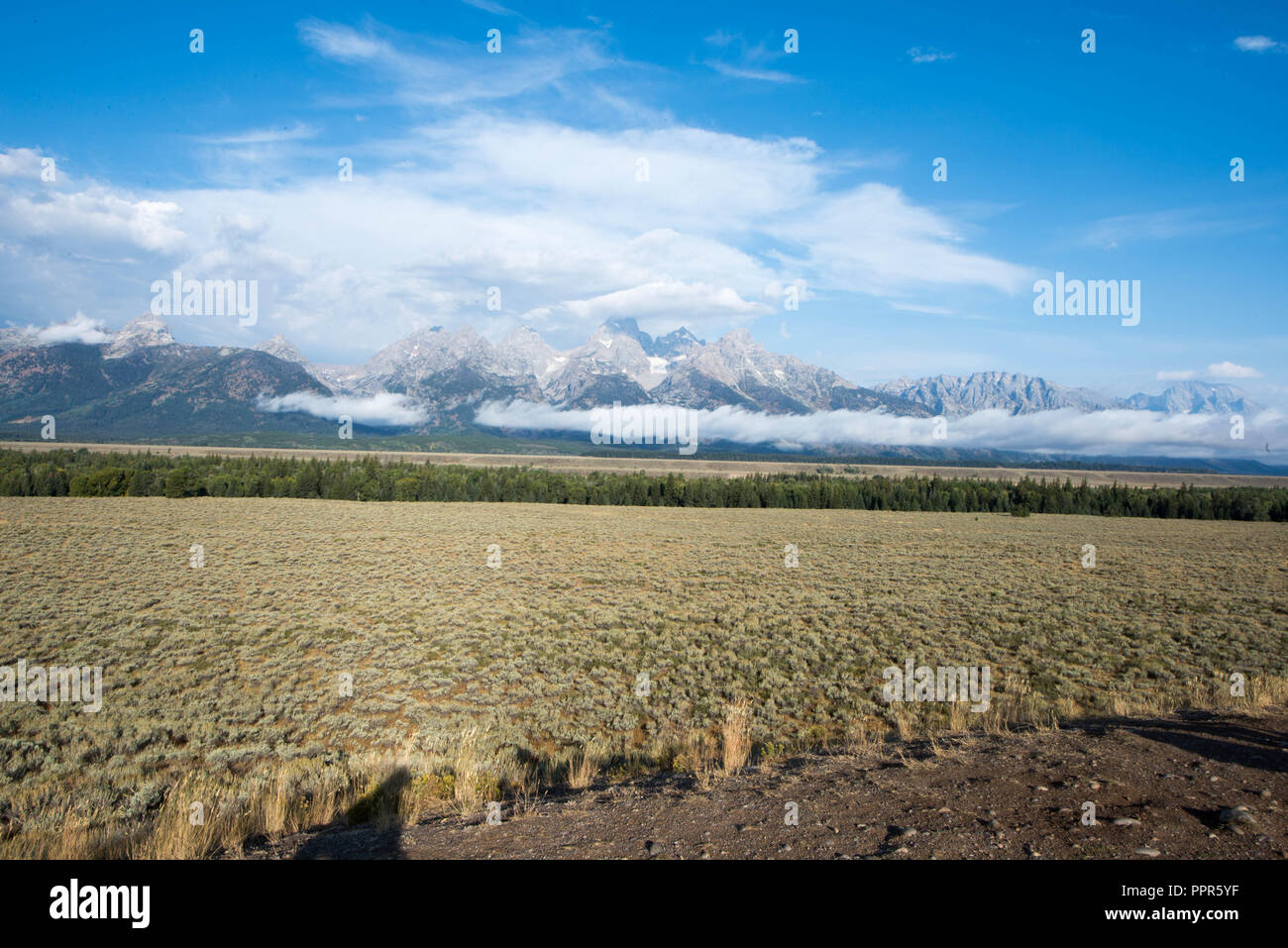 Landscape at Yellowstone & Jackson Hole Stock Photo Alamy