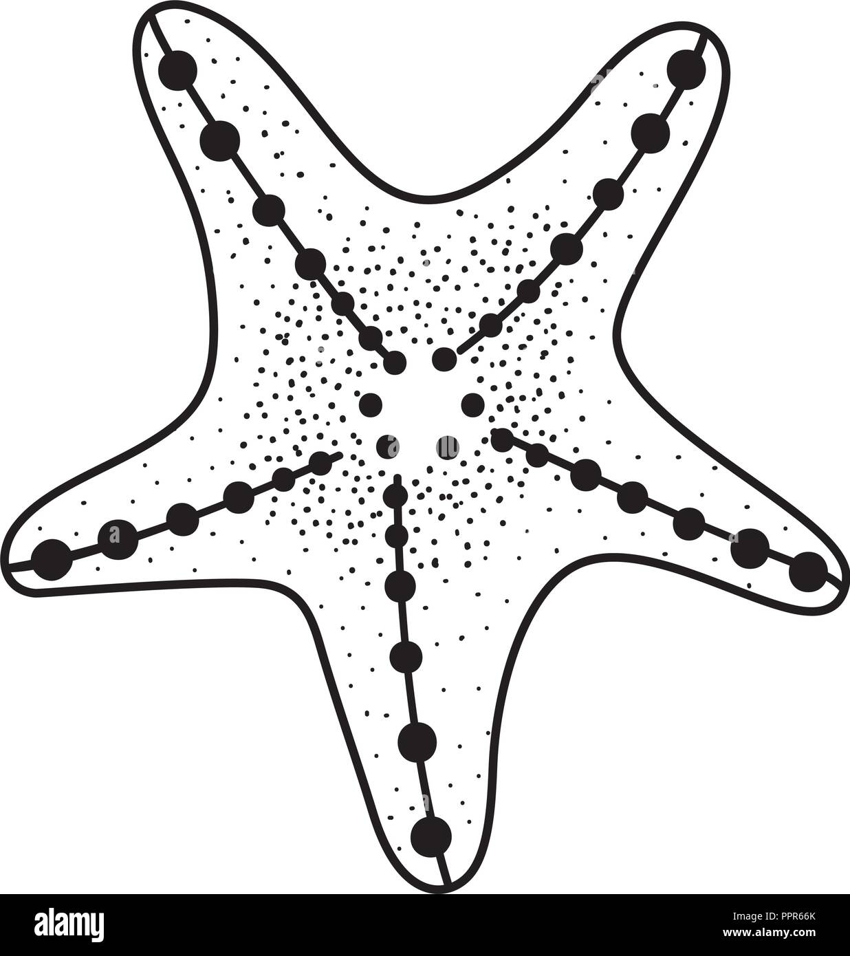 Sea star cartoon Stock Vector Image & Art - Alamy