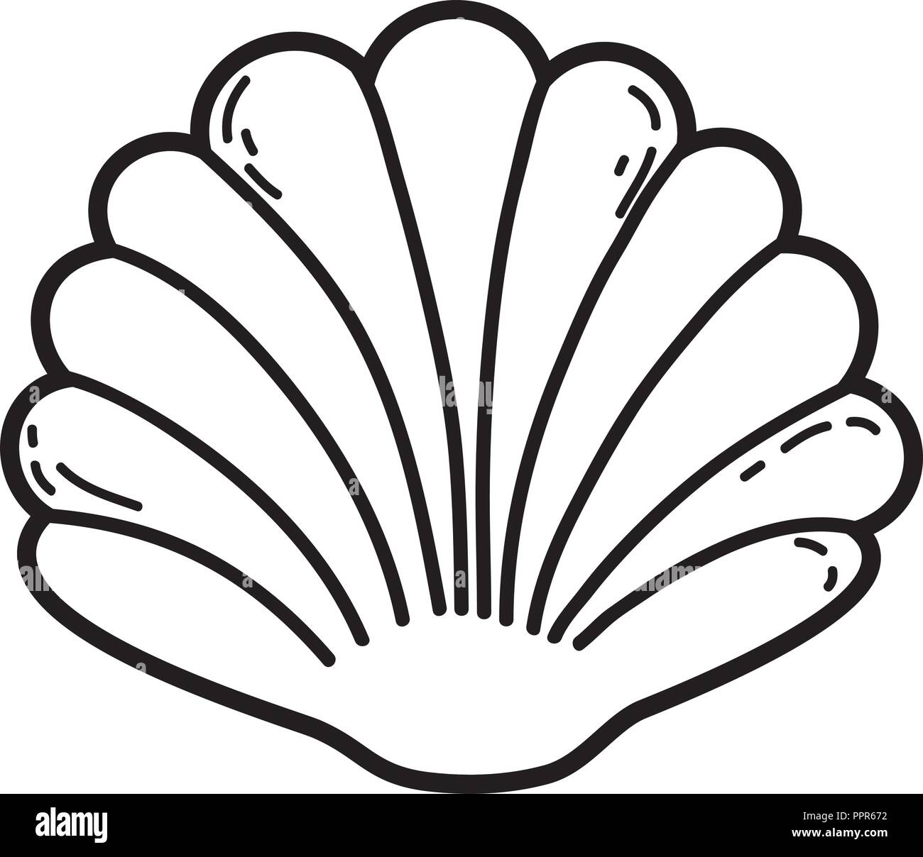 Shell cartoon isolated Stock Vector Image & Art - Alamy Shell cartoon isolated Stock Vector Image & Art - Alamy