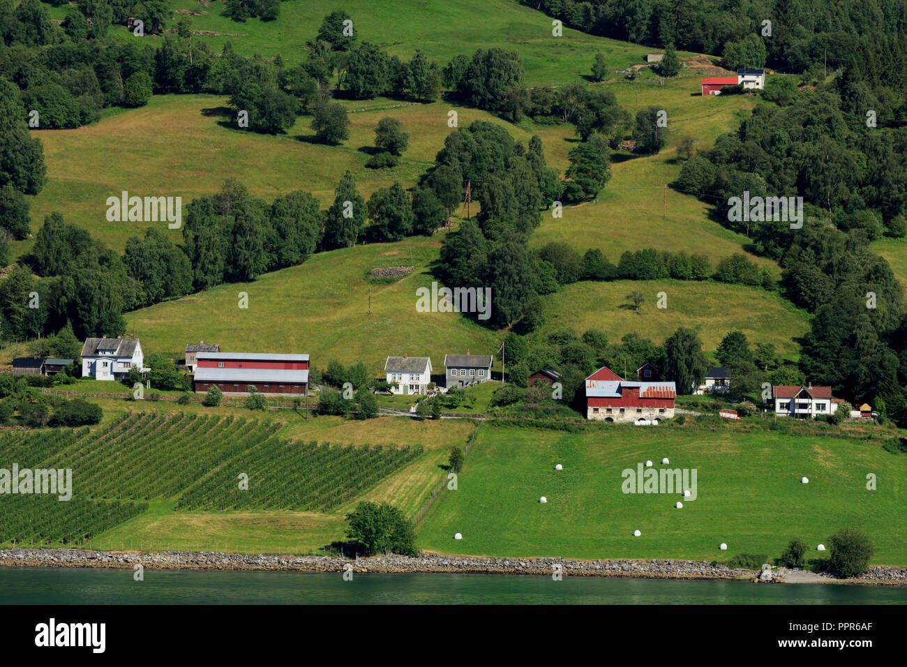 Farm, Lustrafjorden, Sogn og Fjordane County, Norway Stock Photo