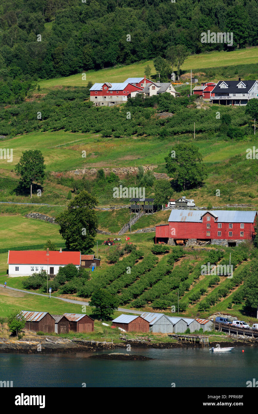 Farm, Urnes Village, Lustrafjorden, Sogn og Fjordane County, Norway Stock Photo