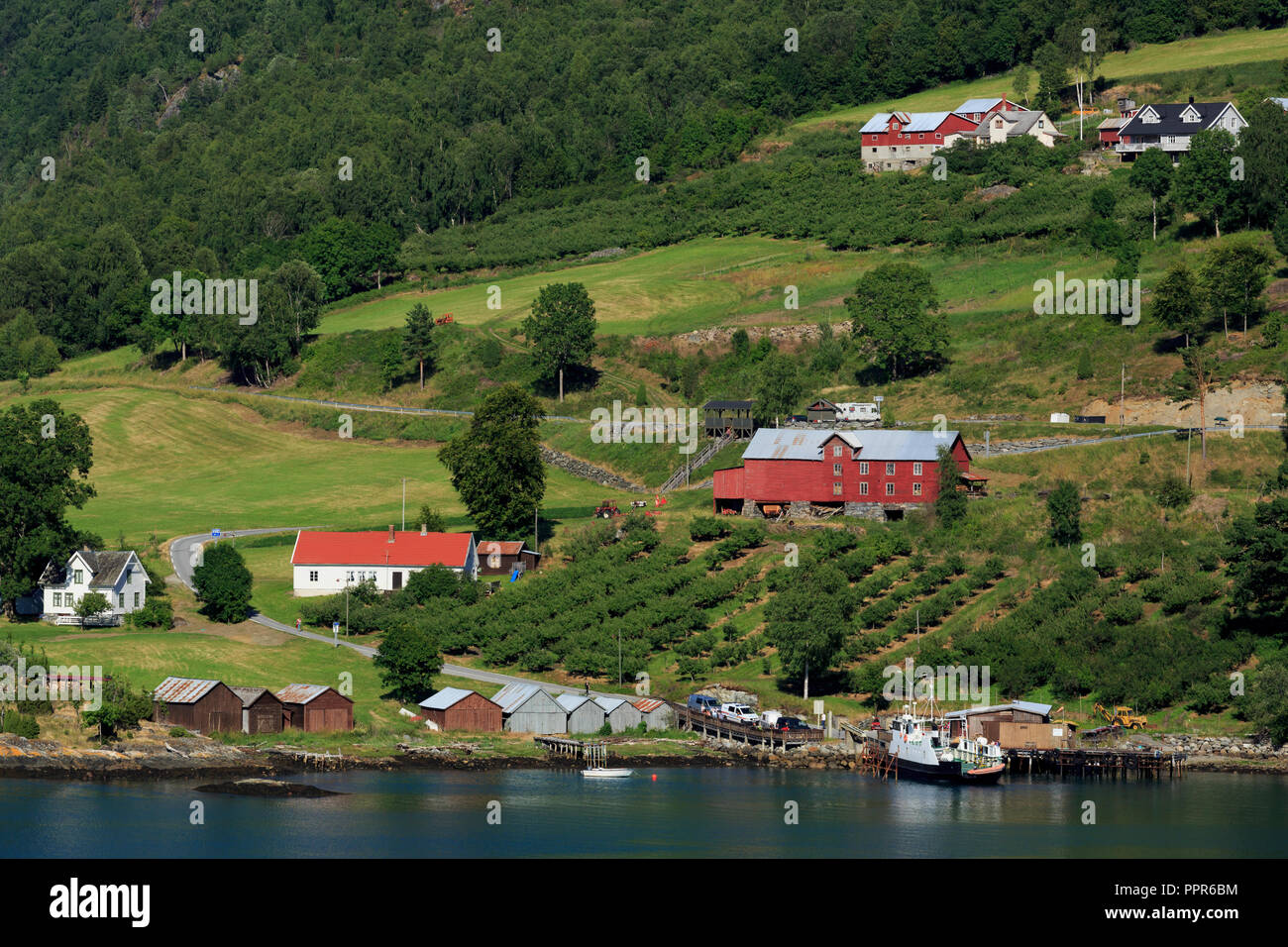 Ferry crossing, Urnes Village, Lustrafjorden, Sogn og Fjordane County, Norway Stock Photo