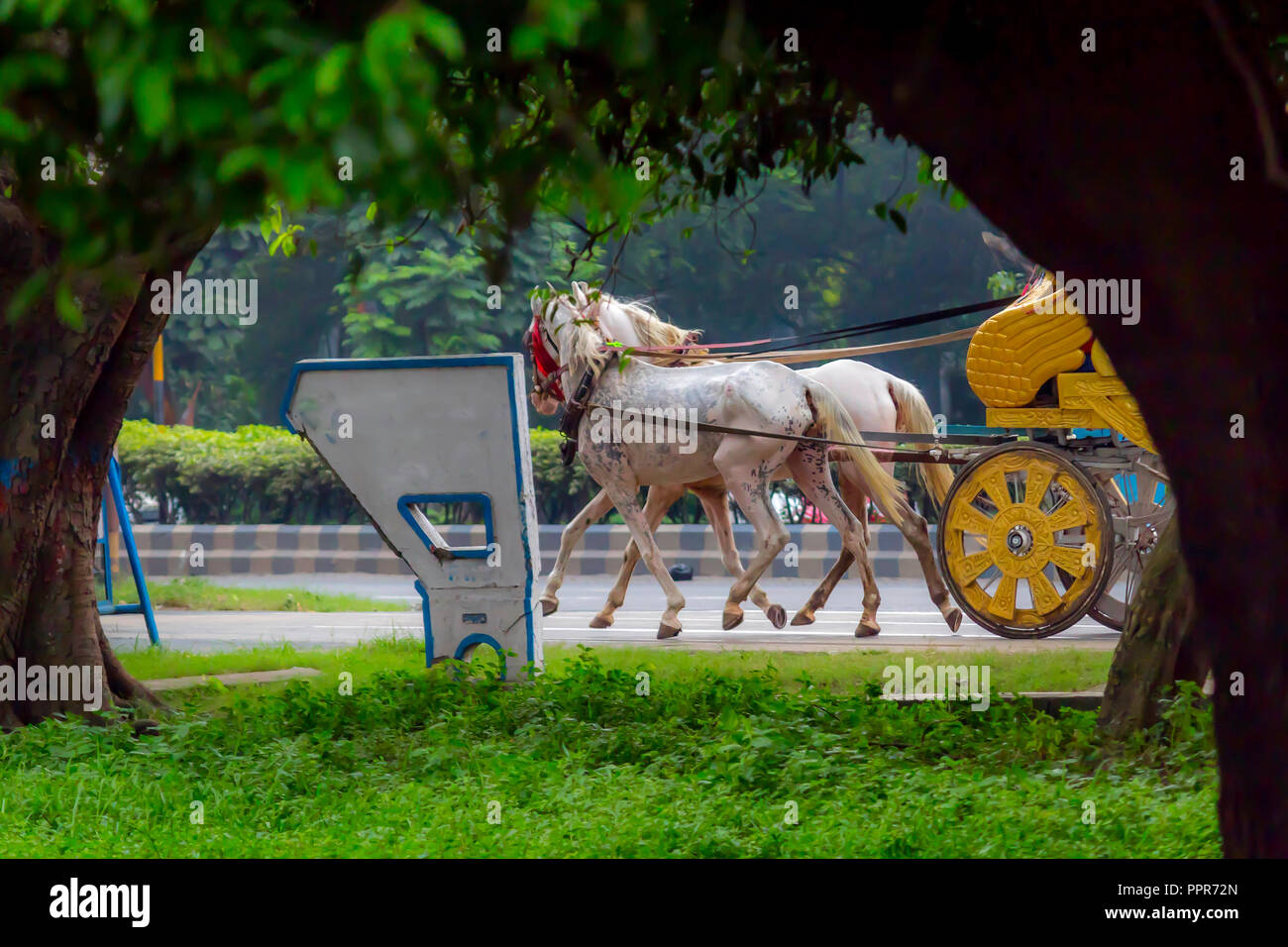 Portrait of a traditional decorated dress horse cart also known as