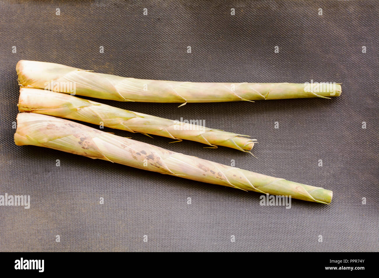 Bamboo shoots or bamboo sprouts are the edible shoots Stock Photo