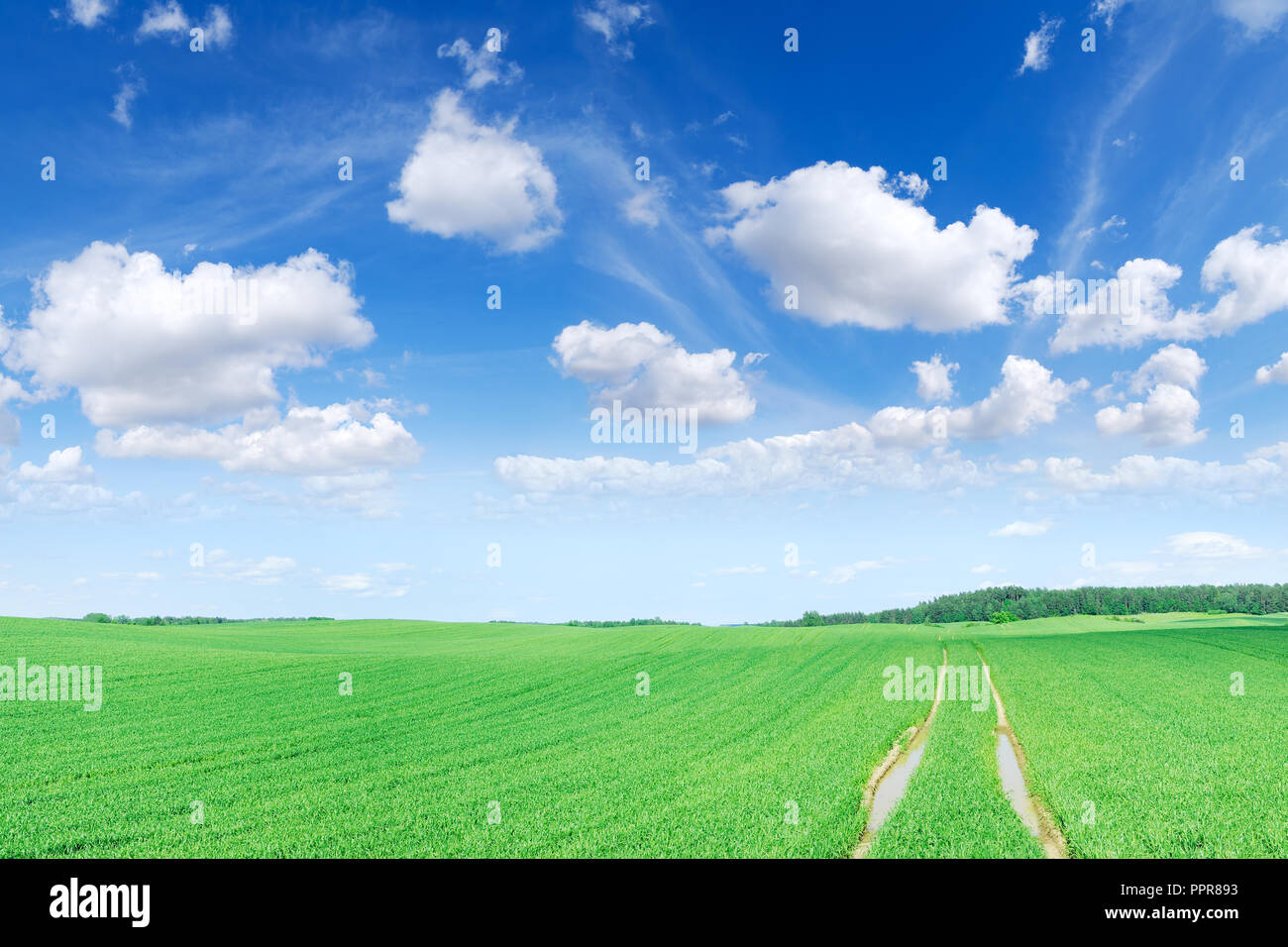 Landscape, dirty road among green fields, blue sky and white clouds in ...