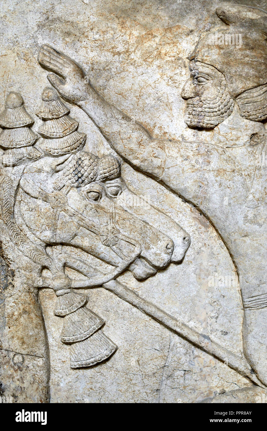 Assyrian stone panel (Nimrud: c728BC) showing Surrender of Enemy Horseman. British Museum, Bloomsbury, London, England, UK. Stock Photo