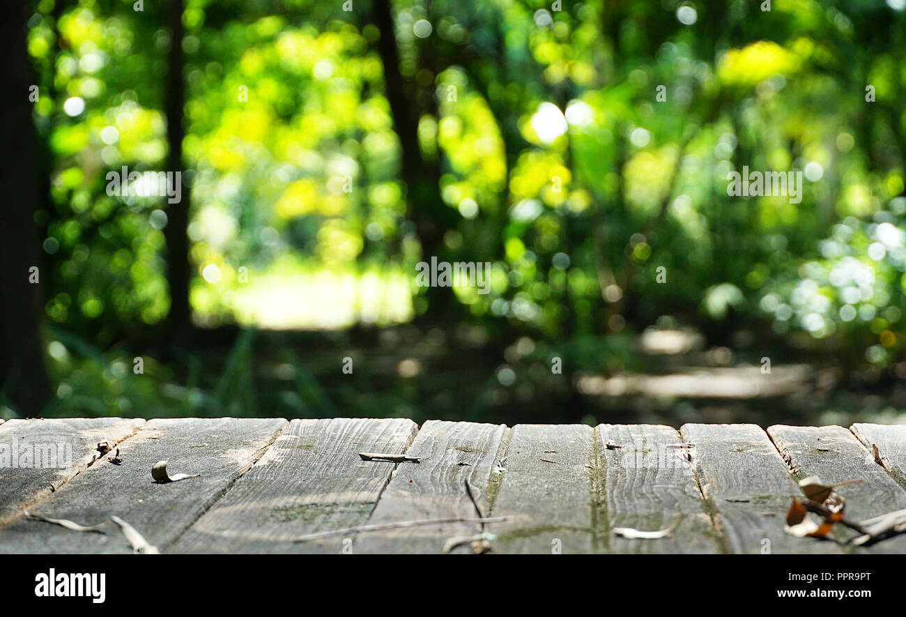 Blur green background hi-res stock photography and images - Alamy