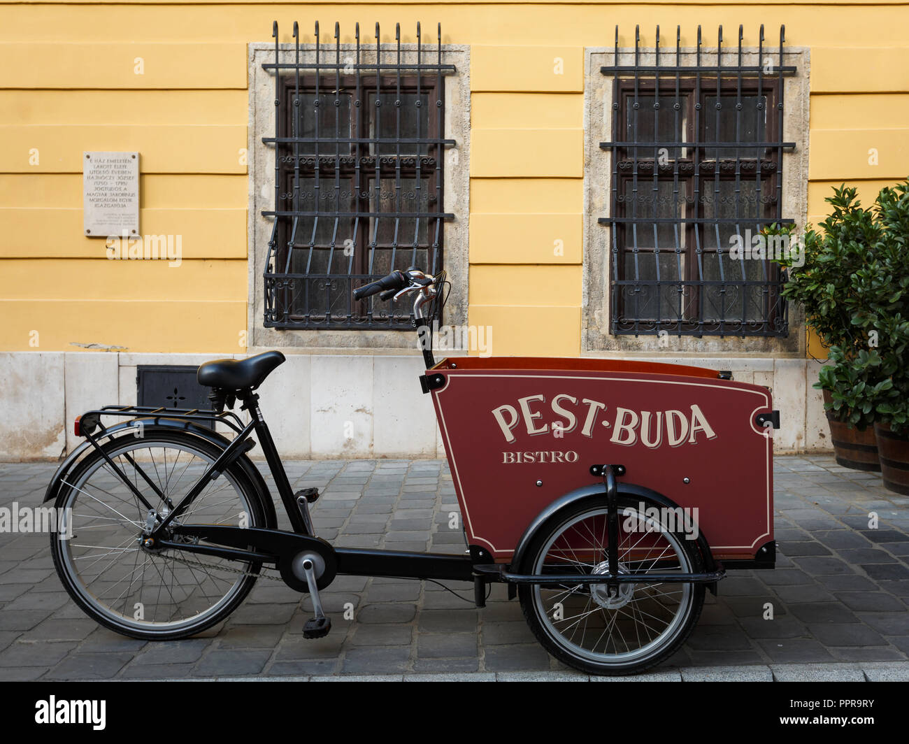 bistro electric trike