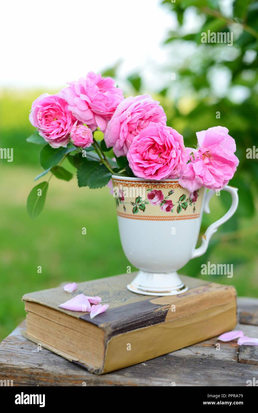 Still life with a bouquet of roses and a book Stock Photo