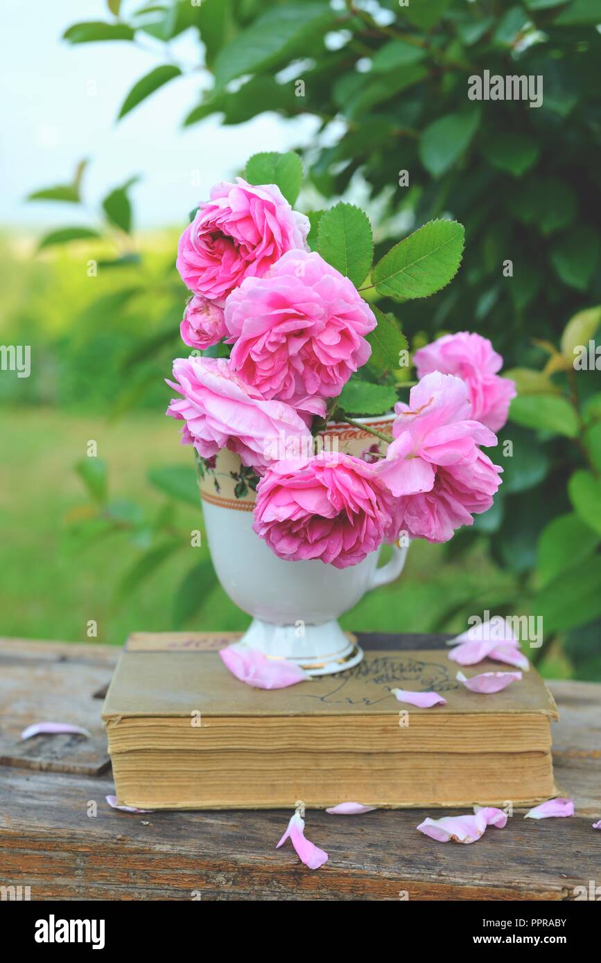 Still life with a bouquet of roses and a book Stock Photo - Alamy