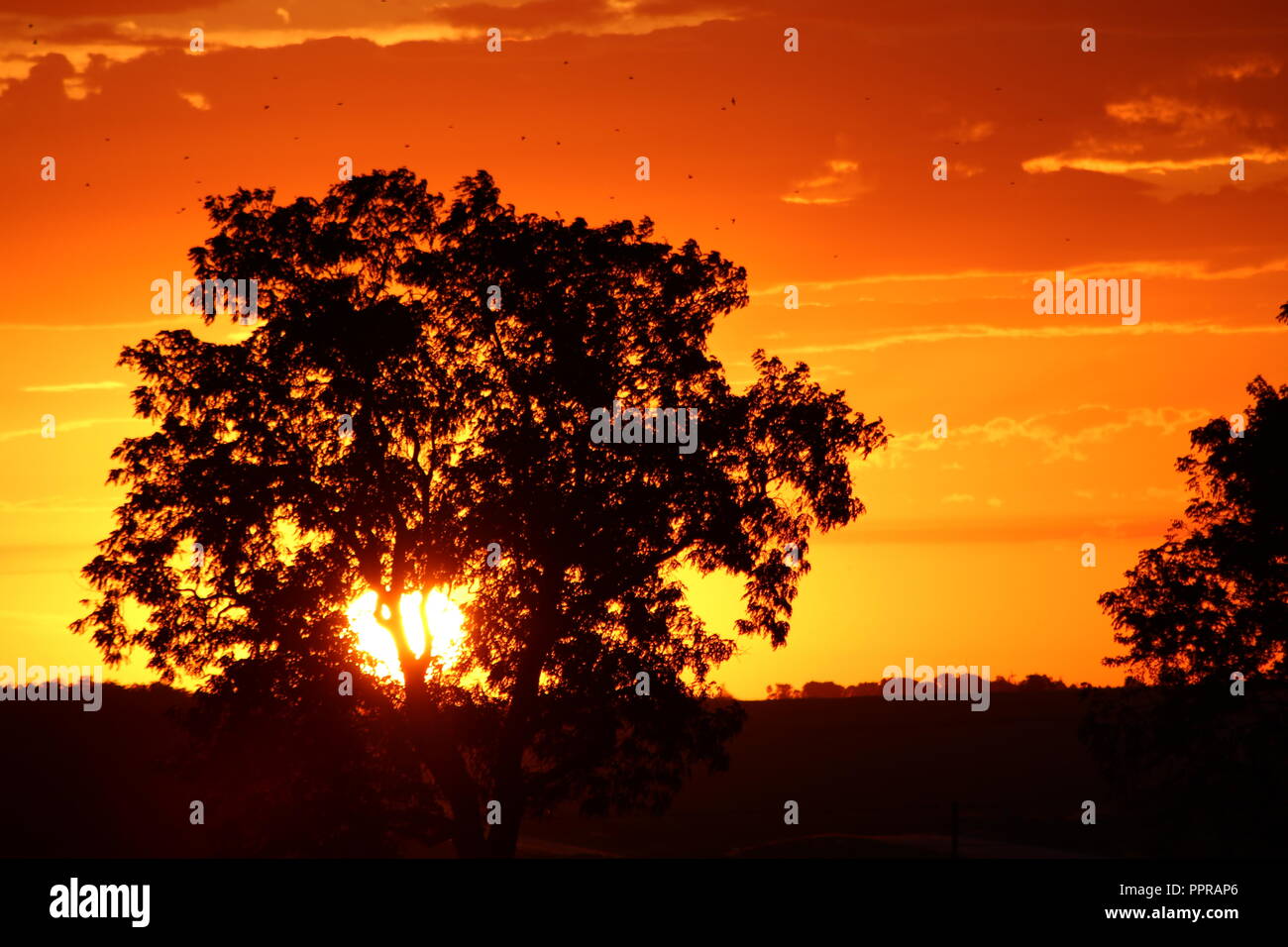 Bright orange sunrise hi-res stock photography and images - Alamy