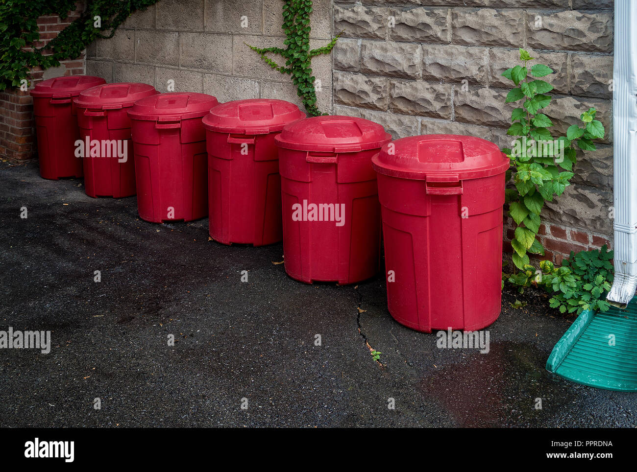 row of red trash cans behind building Stock Photo