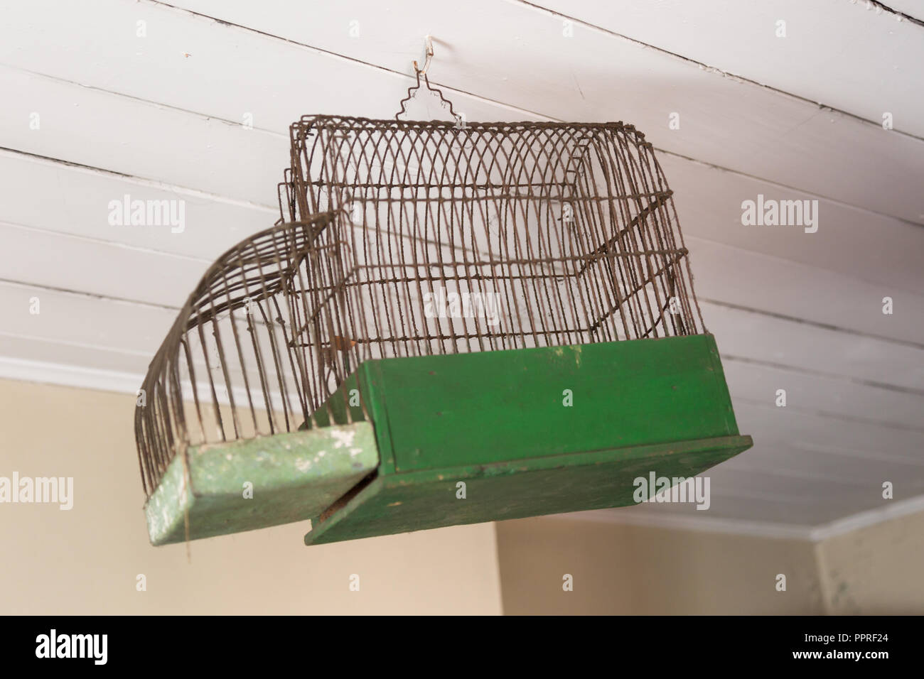 Hanging bird cage hi-res stock photography and images - Alamy