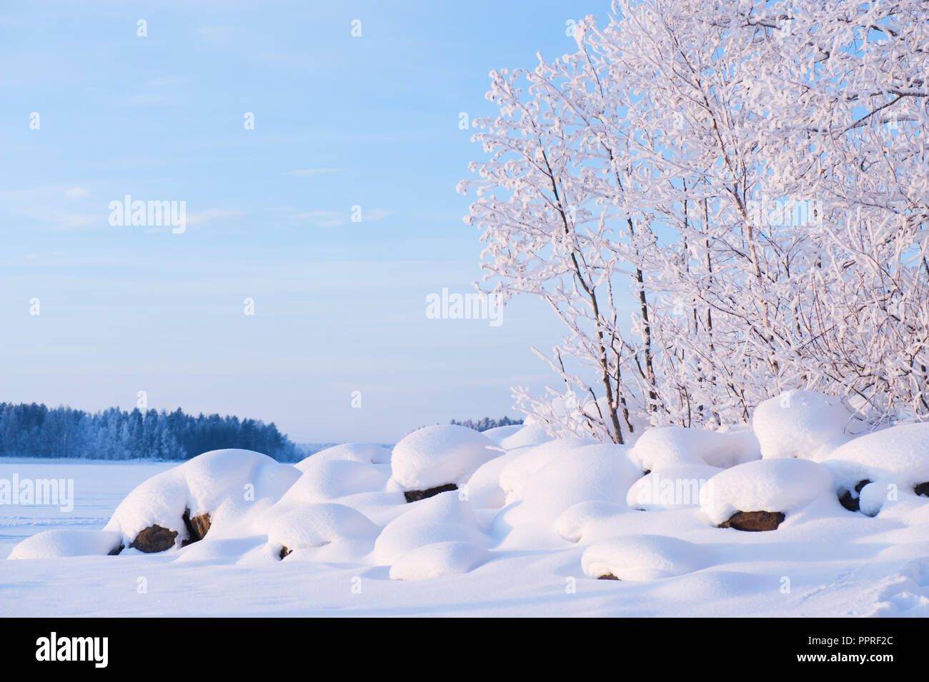 Winter view of lake shore. Newly fallen snow covering stones and trees. Stock Photo