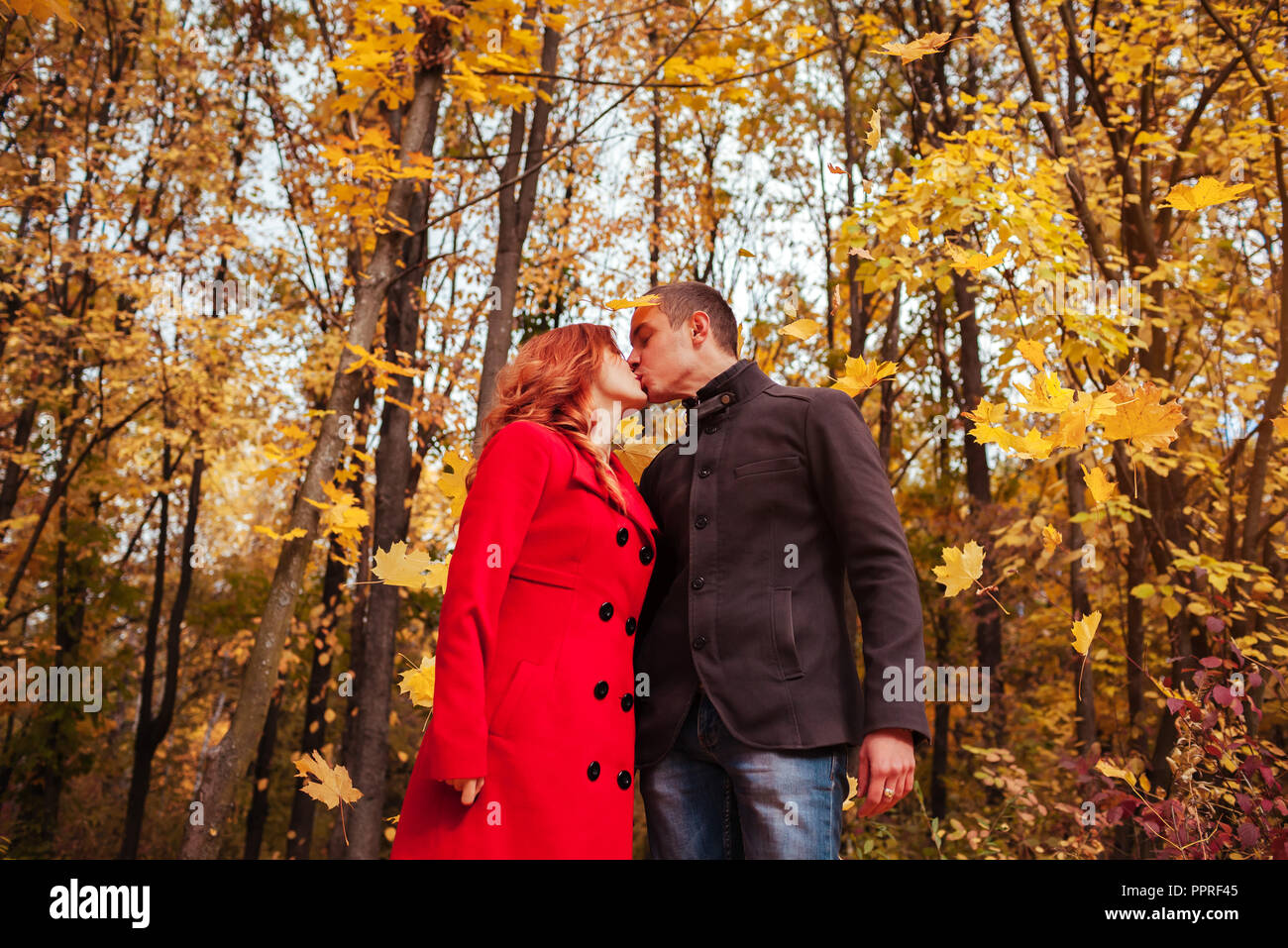 Young couple in love kisses in autumn forest among colorful trees Stock  Photo - Alamy