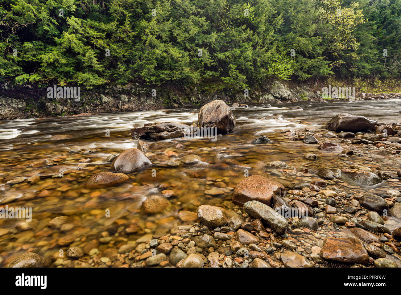 Sacandaga River in spring, Adirondack Mountains, Hamilton Co., NY Stock Photo