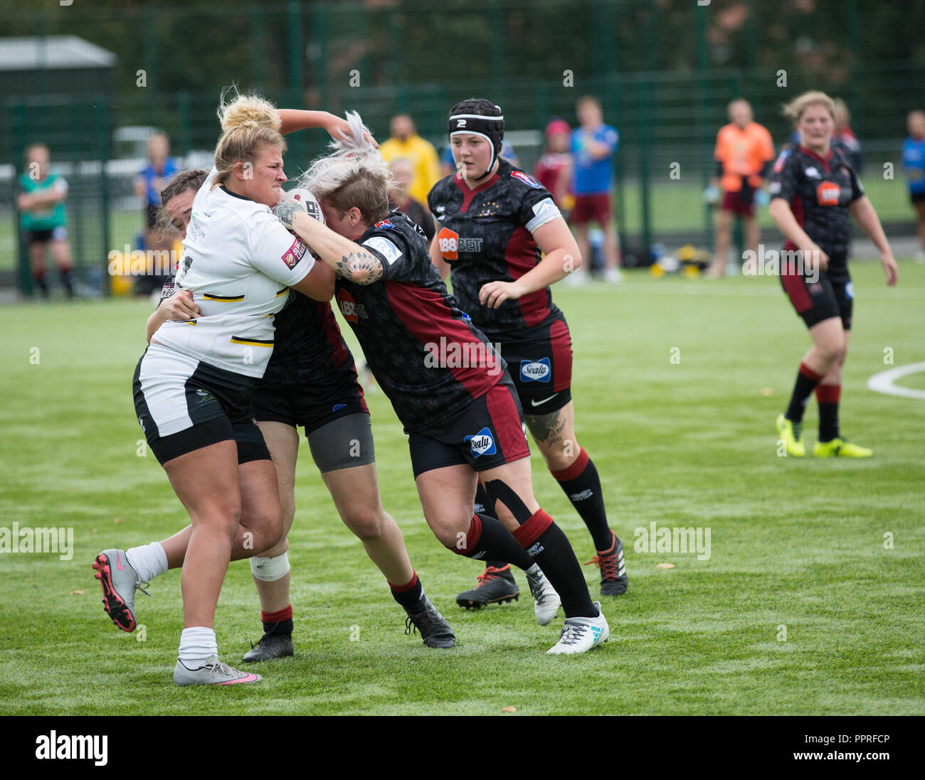 Ladies rugby team players fighting for the ball in a tackle during a sports match Stock Photo