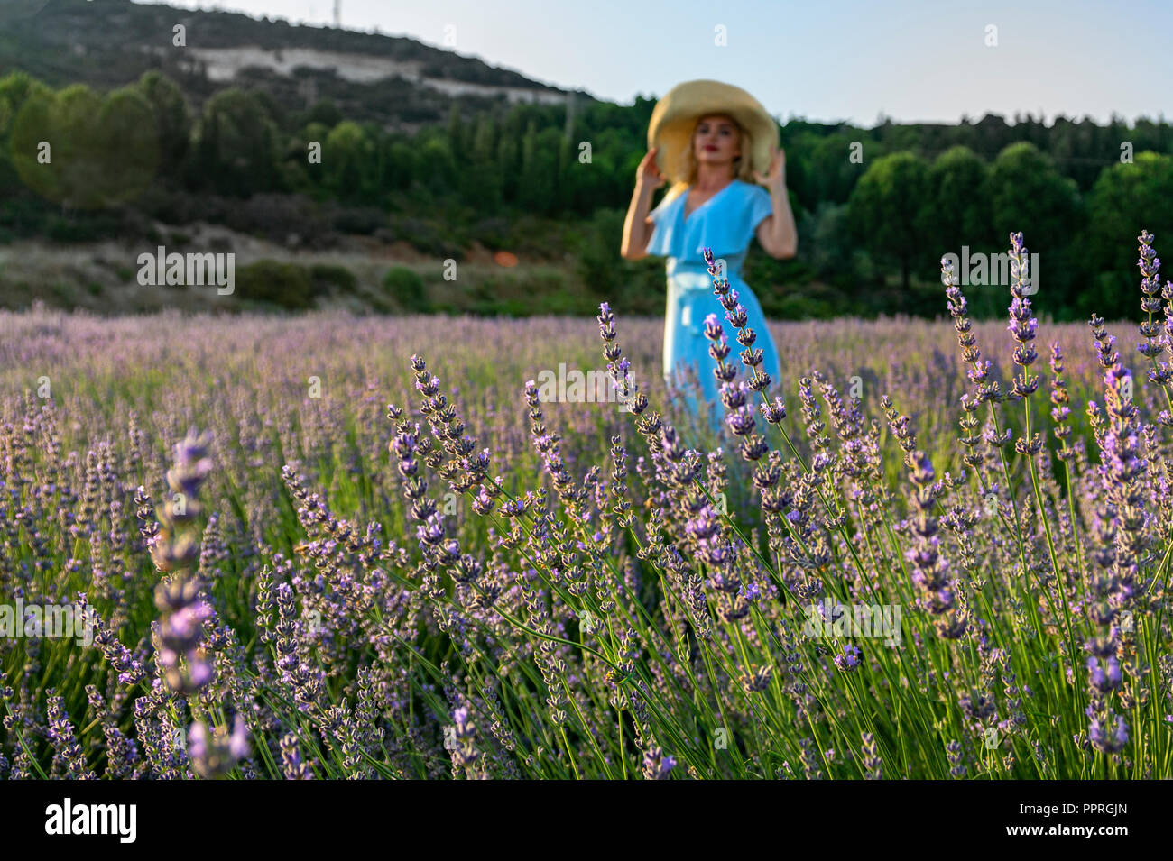 Beautiful Woman In Blue Dress With Blonde Hair In A Field Of