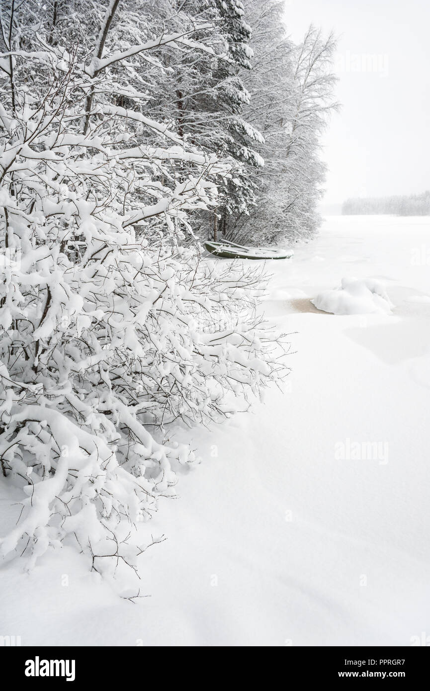 Flowing river in snow covered woods hi-res stock photography and images ...
