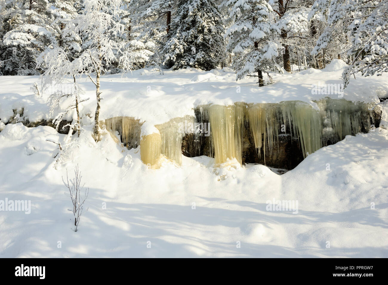 Icicles Hanging From A Rock Cliff Snowy Landscape In Koli National Park Finland Stock Photo Alamy Icicles Hanging From A Rock Cliff Snowy Landscape In Koli National Park Finland Stock Photo Alamy