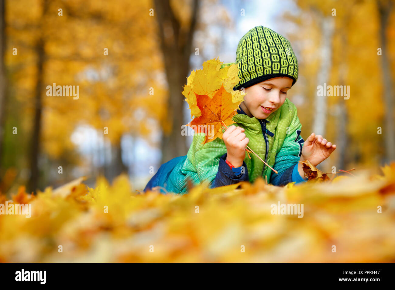 Cheerful little boy lying on the ground in fallen leaves Stock Photo