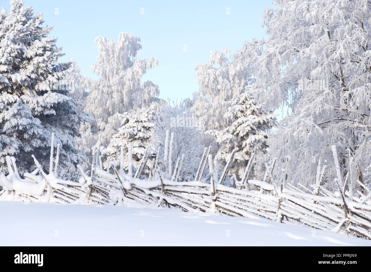 Winter landscape fence hi-res stock photography and images - Alamy