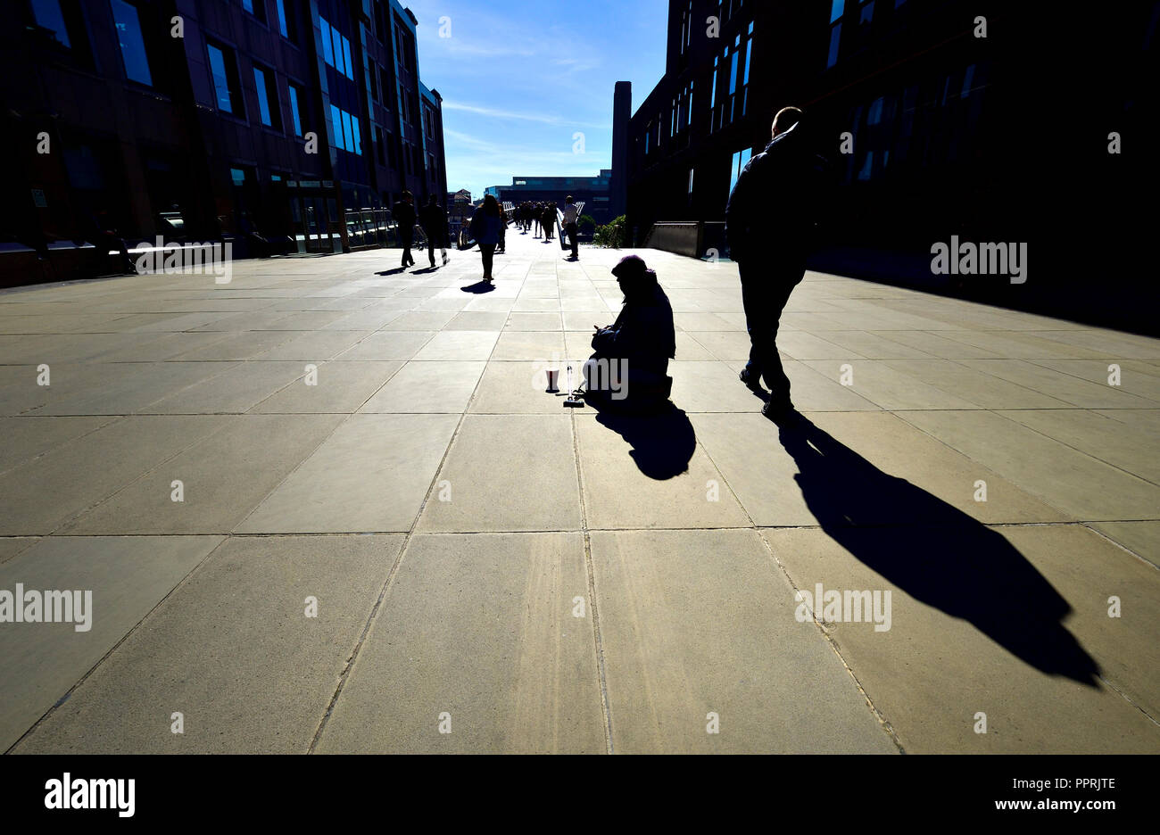 Woman begging in Peter's Hill, between St Paul's Cathedral and the Millennium Bridge, London, England, UK. Stock Photo