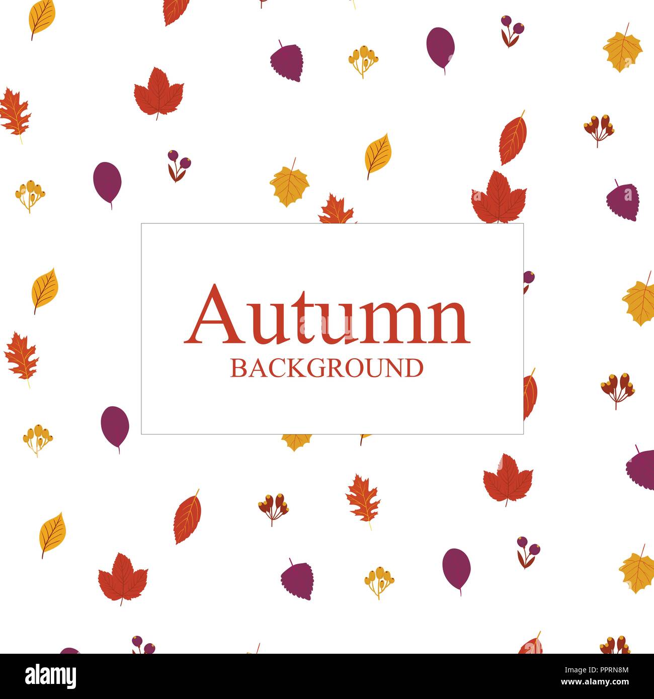 Flat lay maple Stock Vector Images - Alamy